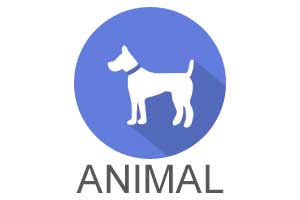 Animal Icon
